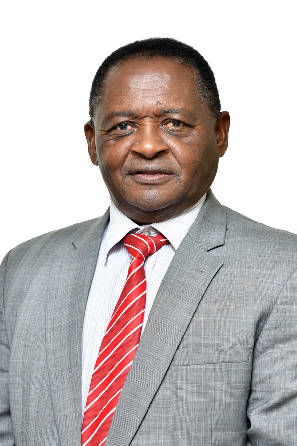 Prof. Mainen Moshi